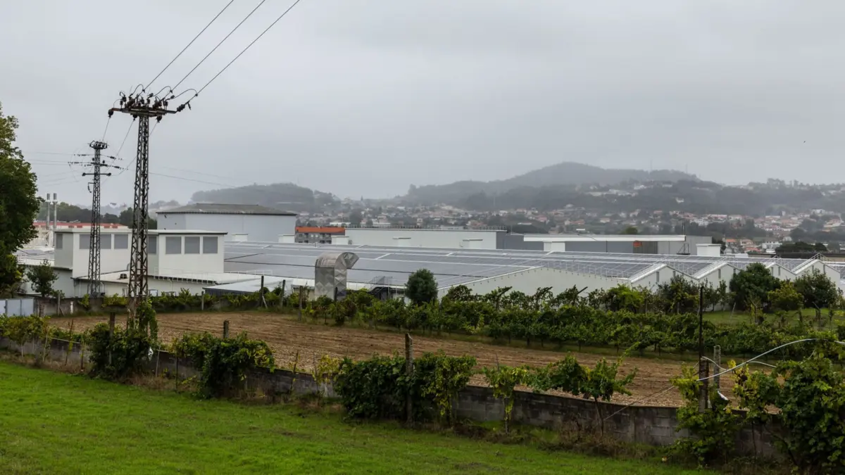 A cobertura da empresa têxtil, Riopele, está tomada por painéis solares
