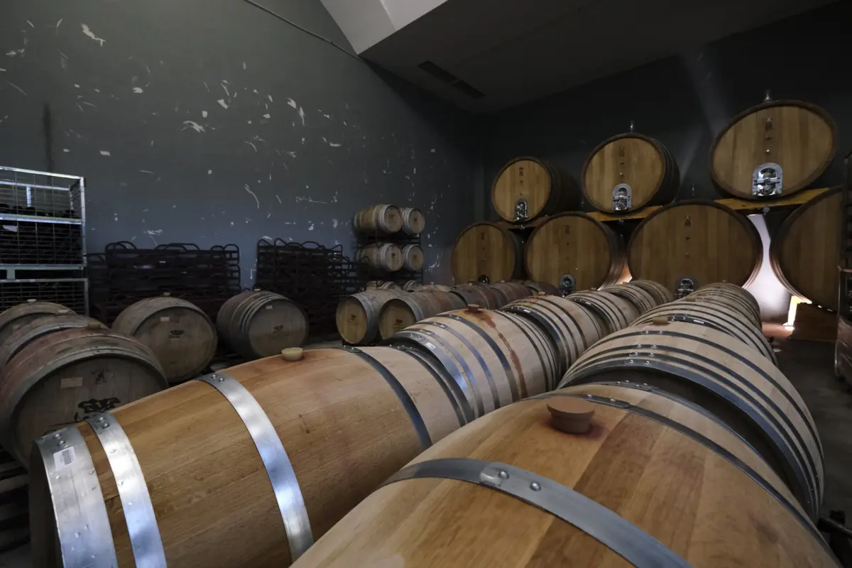 Há 200 milhões de litros de vinho em excesso em Portugal