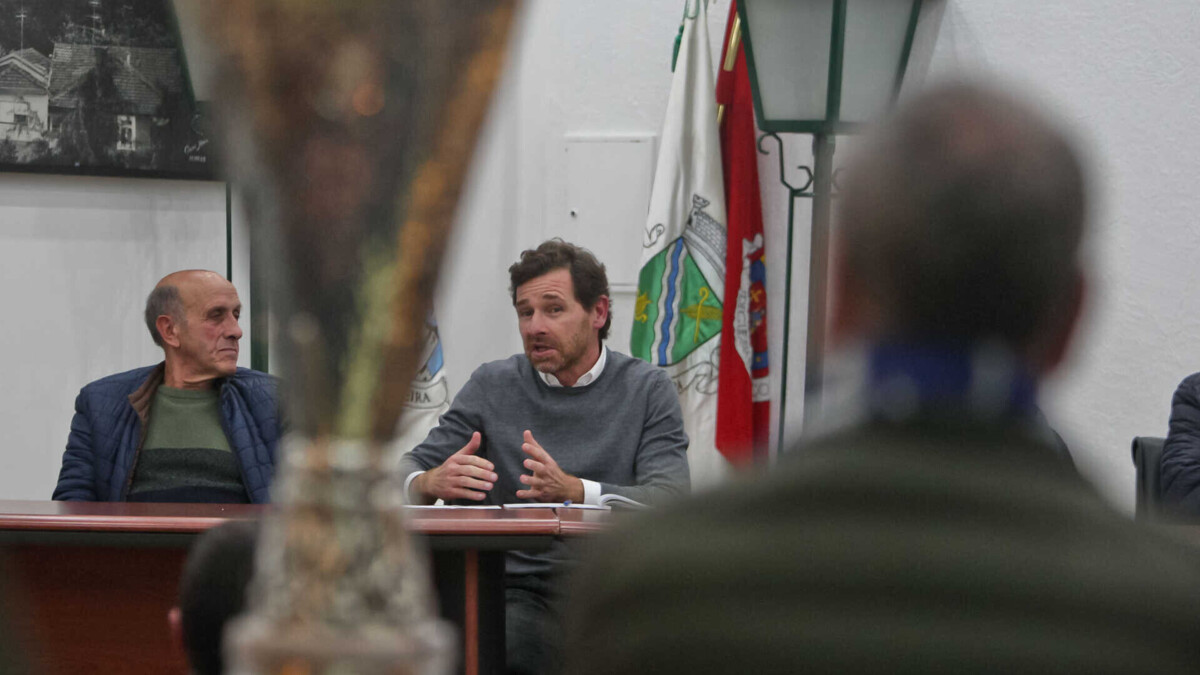 www.ojogo.pt
