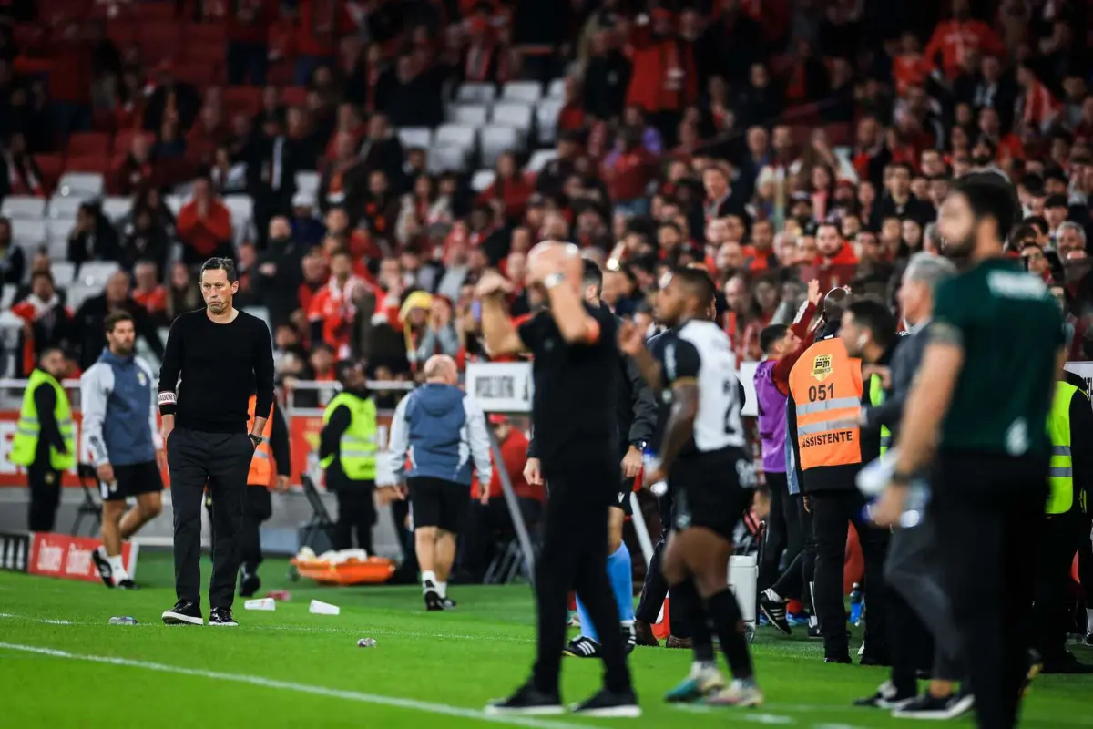 Roger Schmidt, treinador do Benfica (Créditos: PATRICIA DE MELO MOREIRA / AFP)