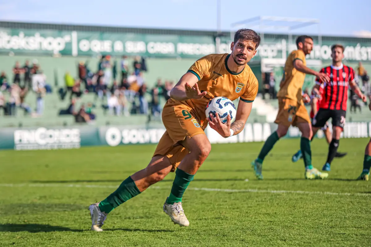 Pedro Martelo (créditos: DR)