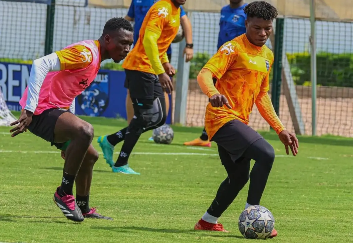 Créditos: Black Bulls