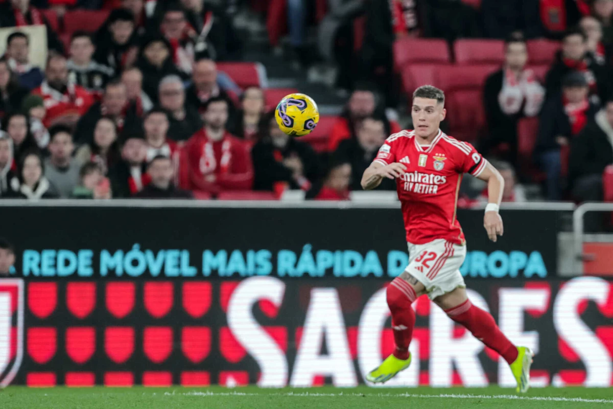 Rollheiser disputado no Brasil