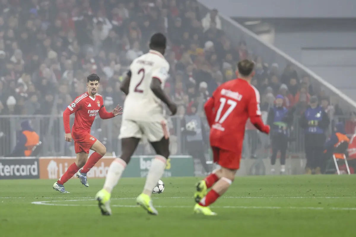 Tomás Araújo (Créditos: SL Benfica)