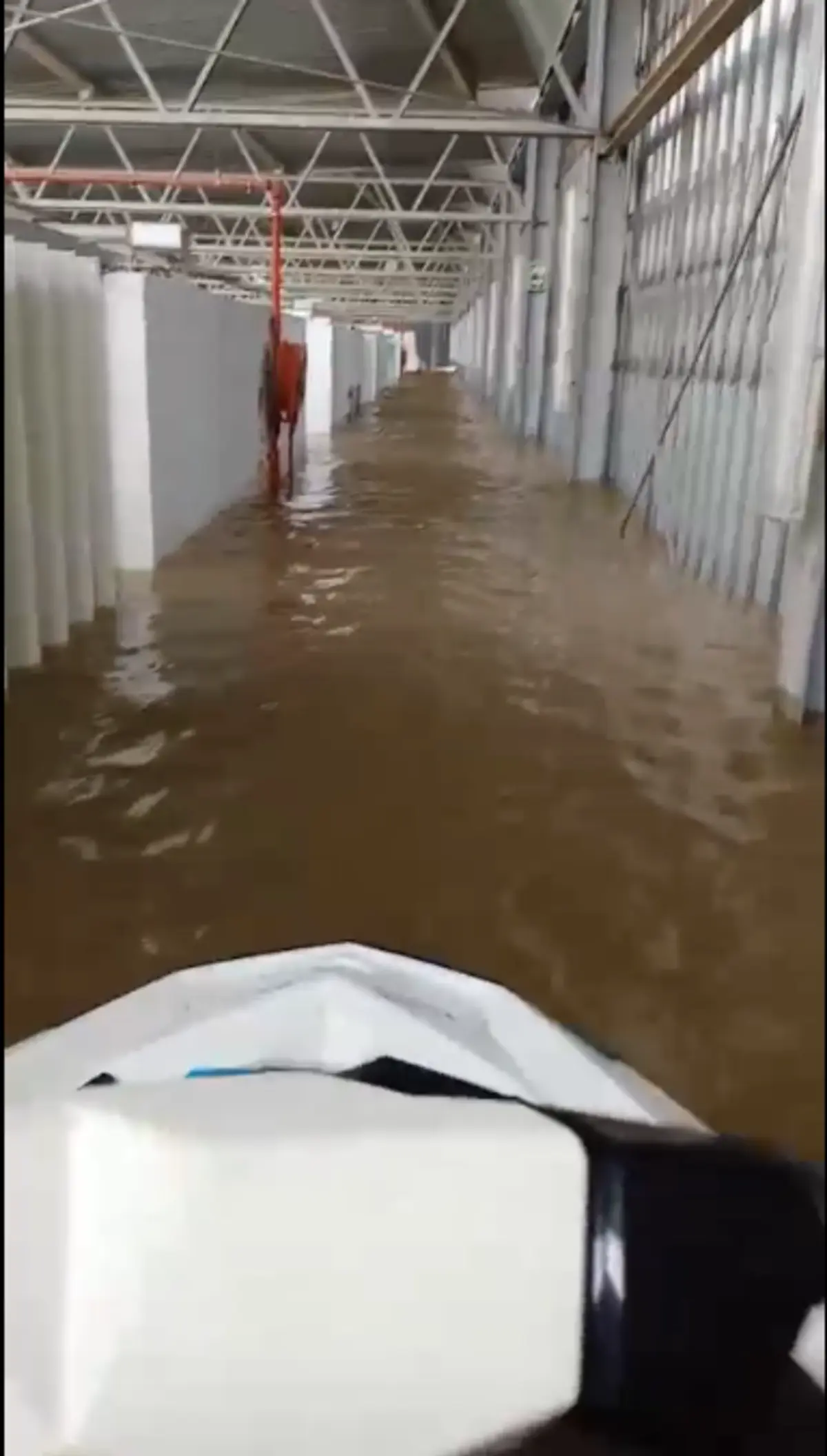 Imagem de contexto do artigo Centro de Alto Rendimento de Montemor-o-Velho está "profundamente destruído": "É devastador"