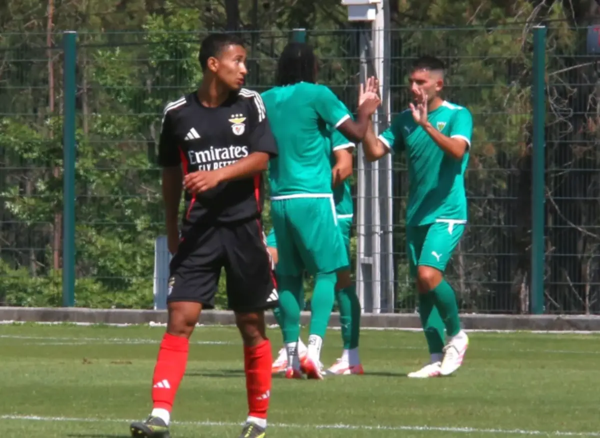 Imagem de contexto do artigo Nuno Cunha foi o grande destaque do jogo entre Tondela e Benfica B