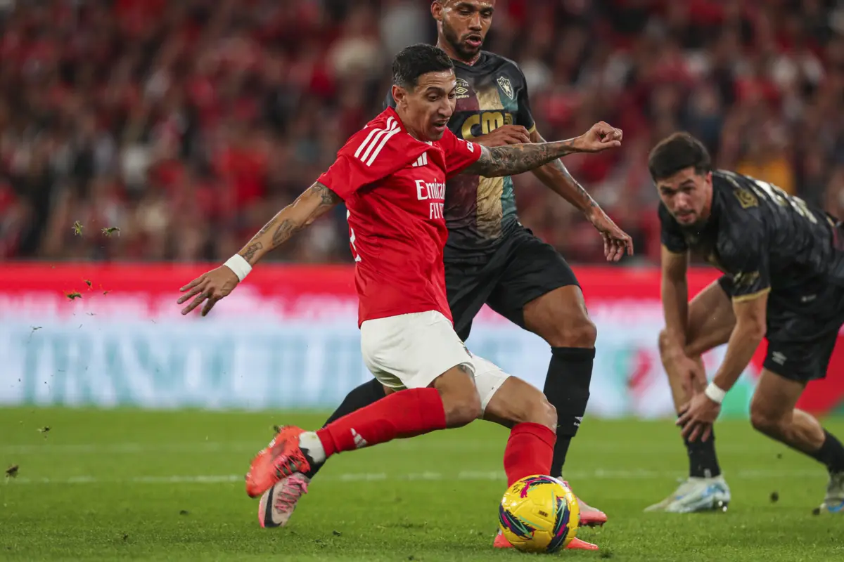 Créditos: Pedro Rocha