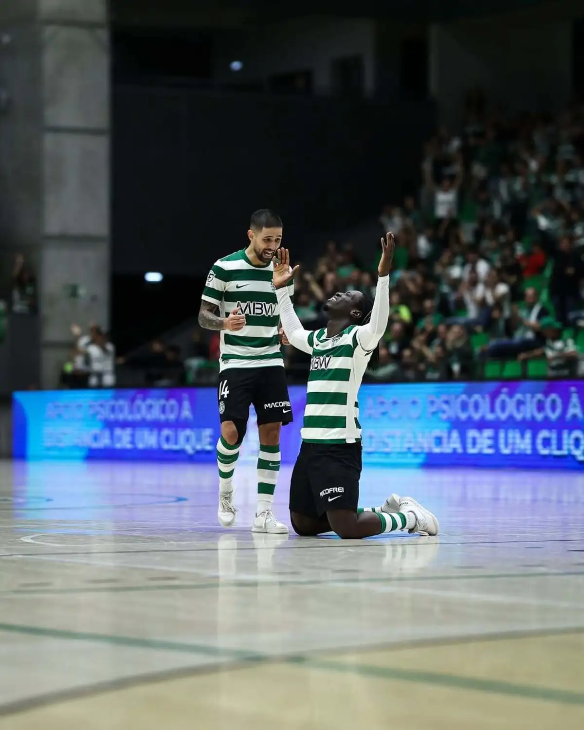 Sporting continua na Champions
