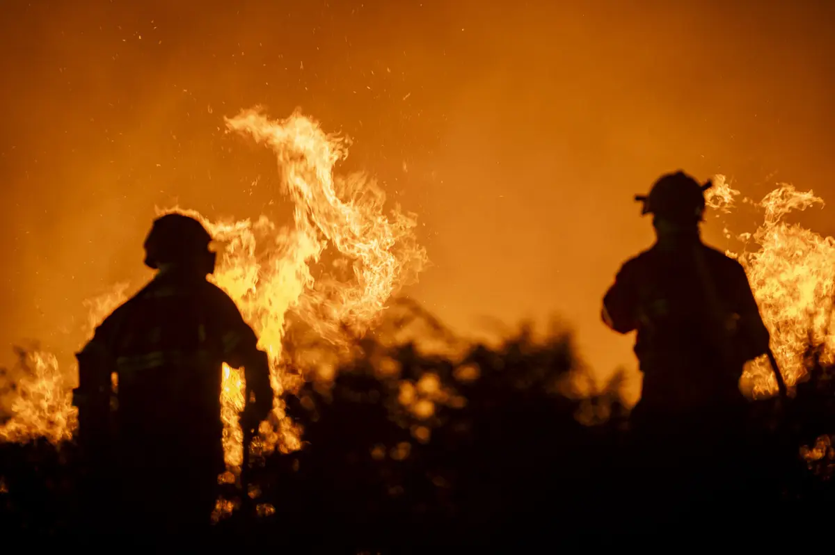 Créditos: Rui Manuel Fonseca