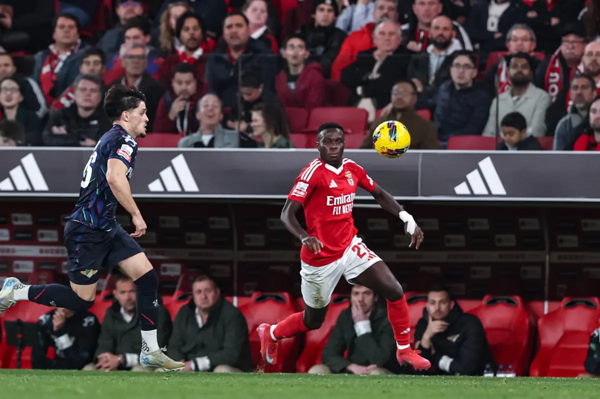 Bruma (Créditos: Mário Vasa)