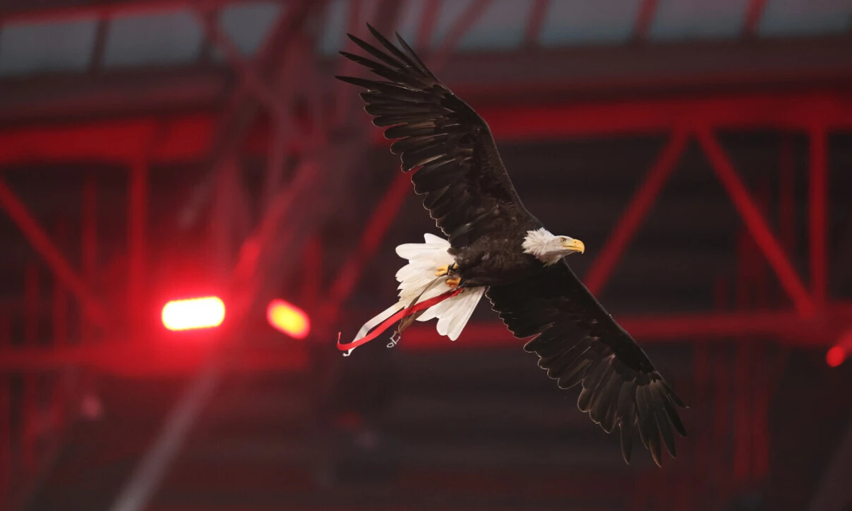 Créditos: SL Benfica