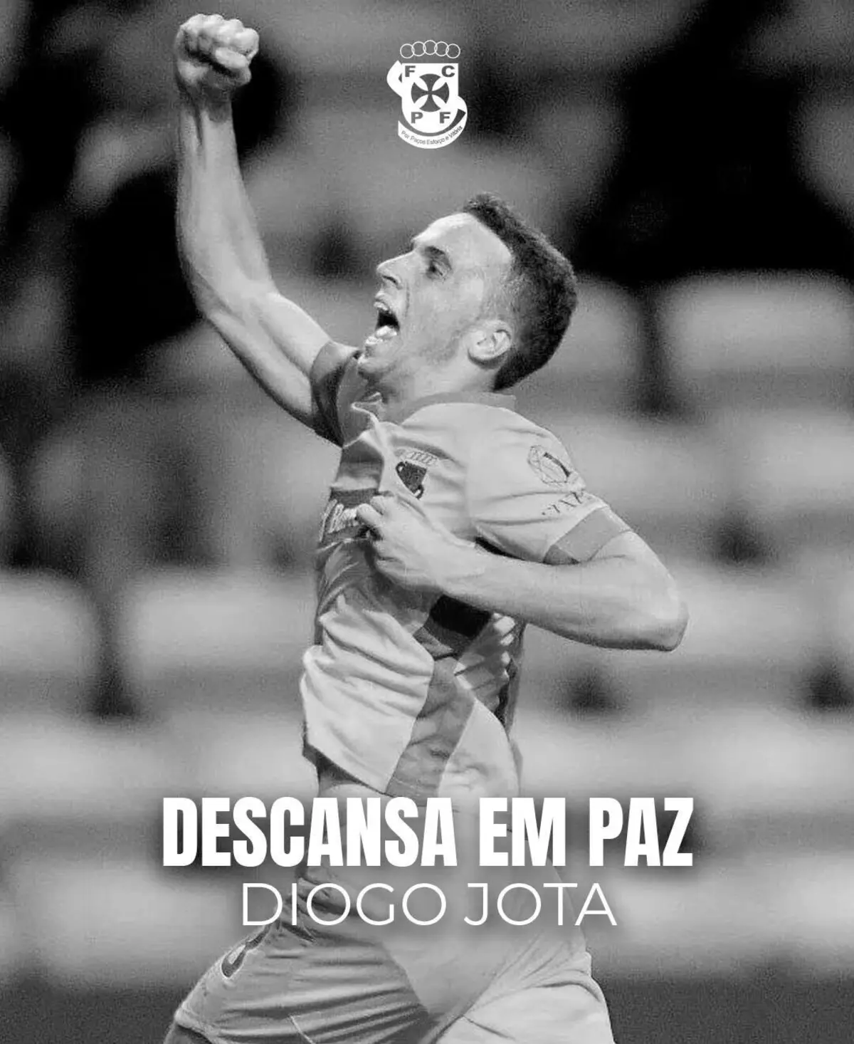 Imagem de contexto do artigo "O Diogo e o André passaram pela Mata Real, onde deixaram a sua marca"