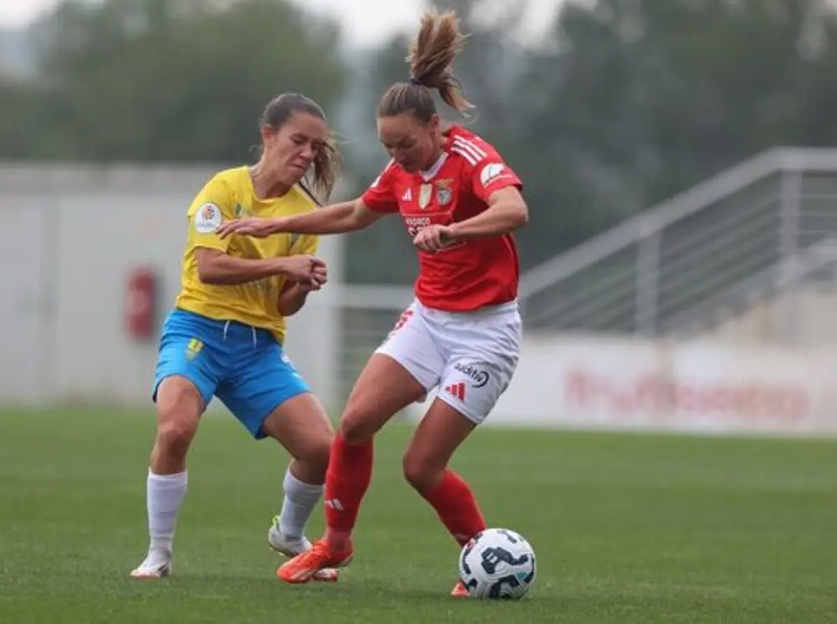 Imagem de contexto do artigo Benfica vence Estoril e por números claros. Assista ao resumo