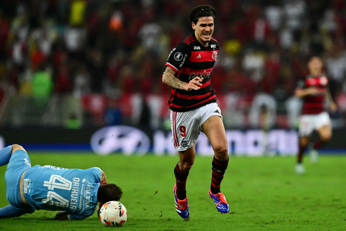 Pedro (Pablo PORCIUNCULA / AFP)