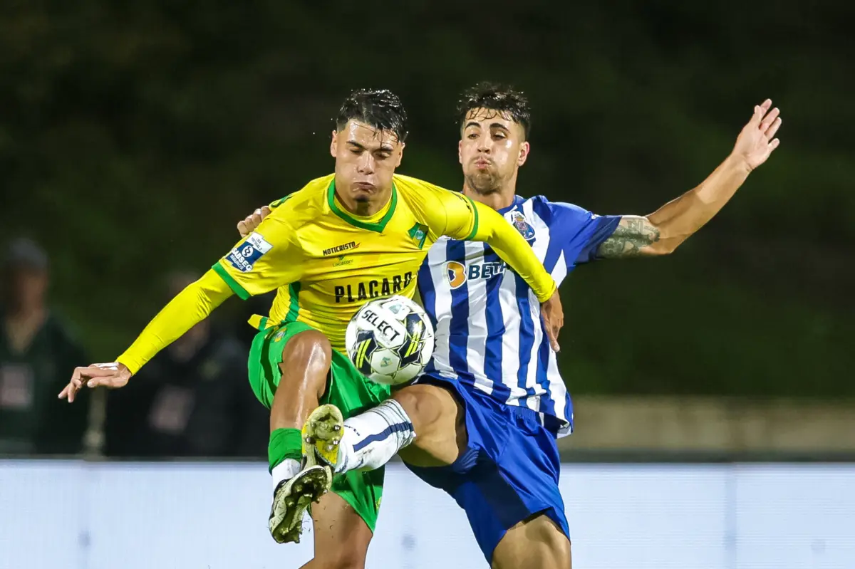 Diogo Almeida (Créditos: Gerardo Santos)