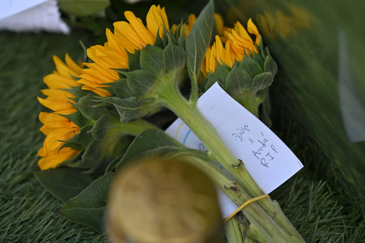 Créditos: Pedro Granadeiro