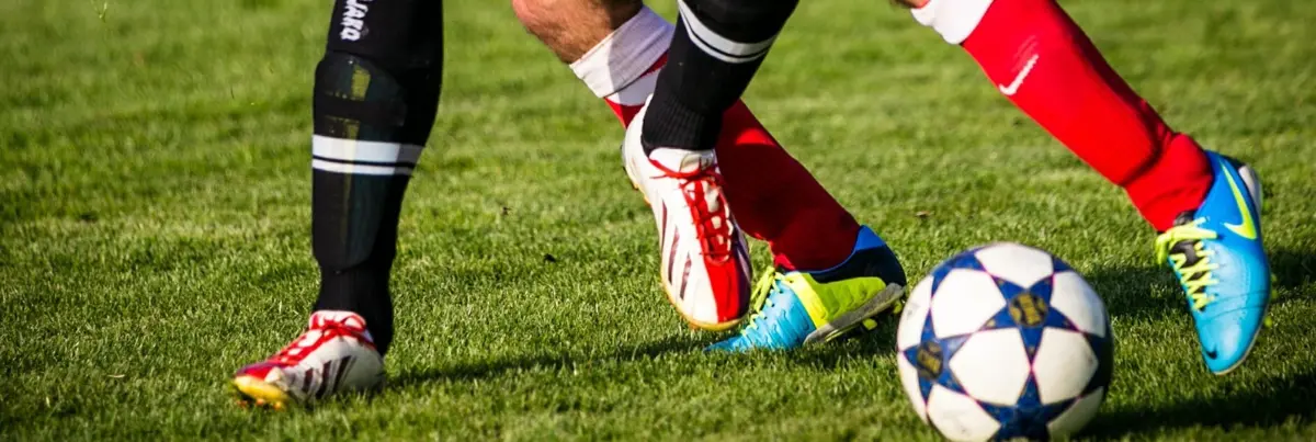 Handicap ou Placard DV