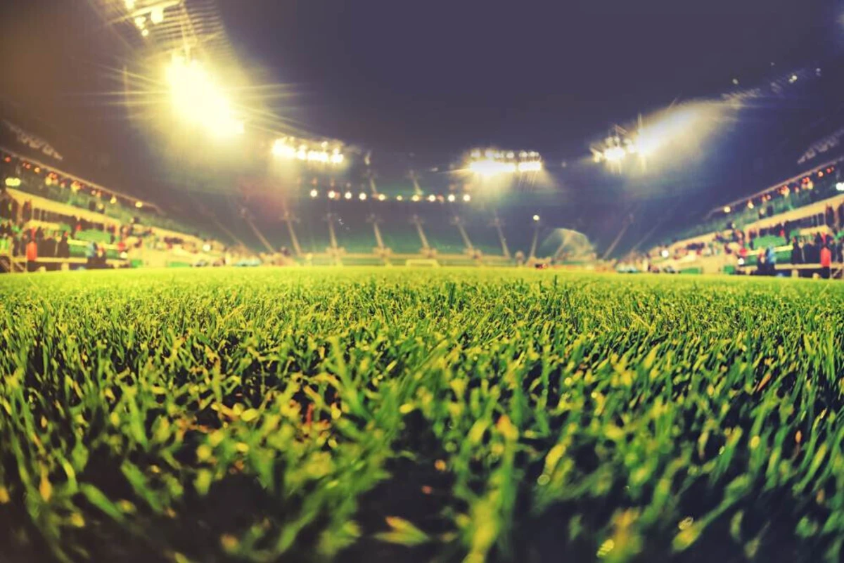 Imagem de contexto do artigo Placard DV: Entenda o Significado Com Exemplos Práticos