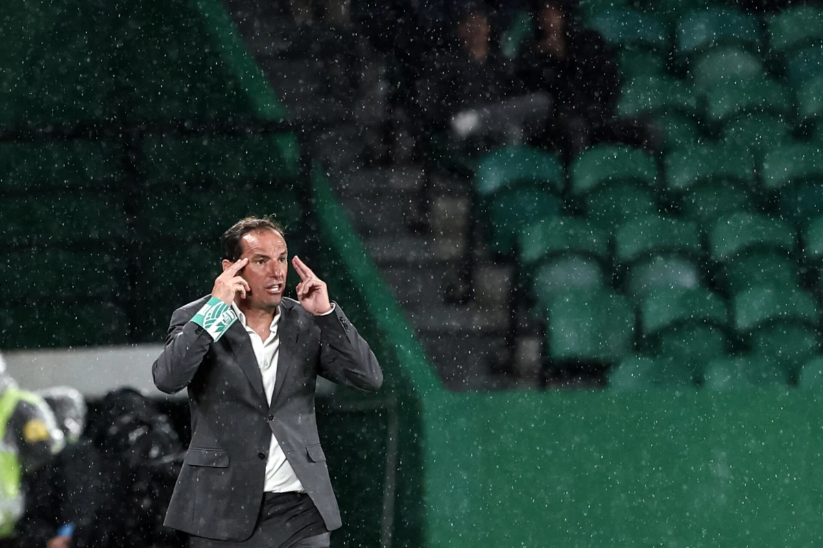 Petit (Créditos: Mário Vasa)