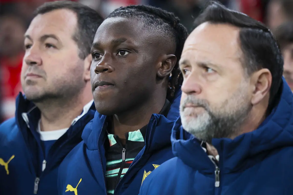 Quenda (créditos: LUSA)