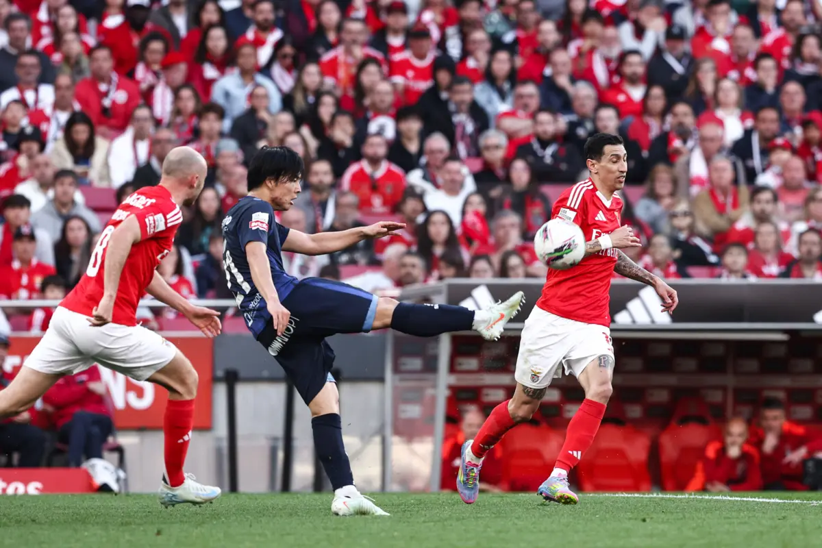 Fukui (Créditos: Máro Vasa)