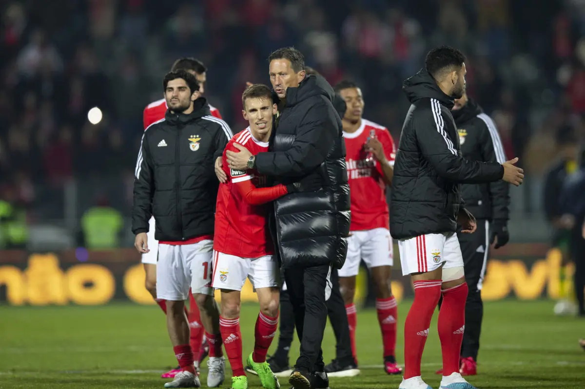 Roger Schmidt e Grimaldo