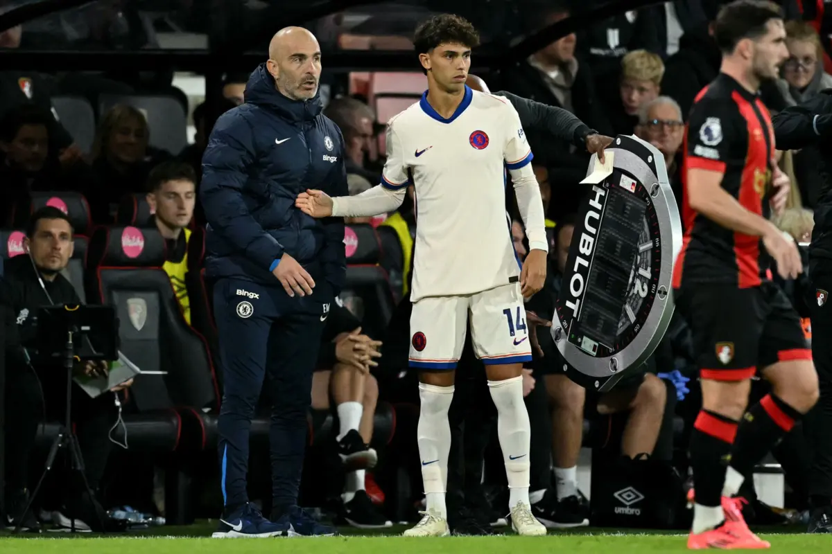 Enzo Maresca e João Félix (Créditos: AFP)
