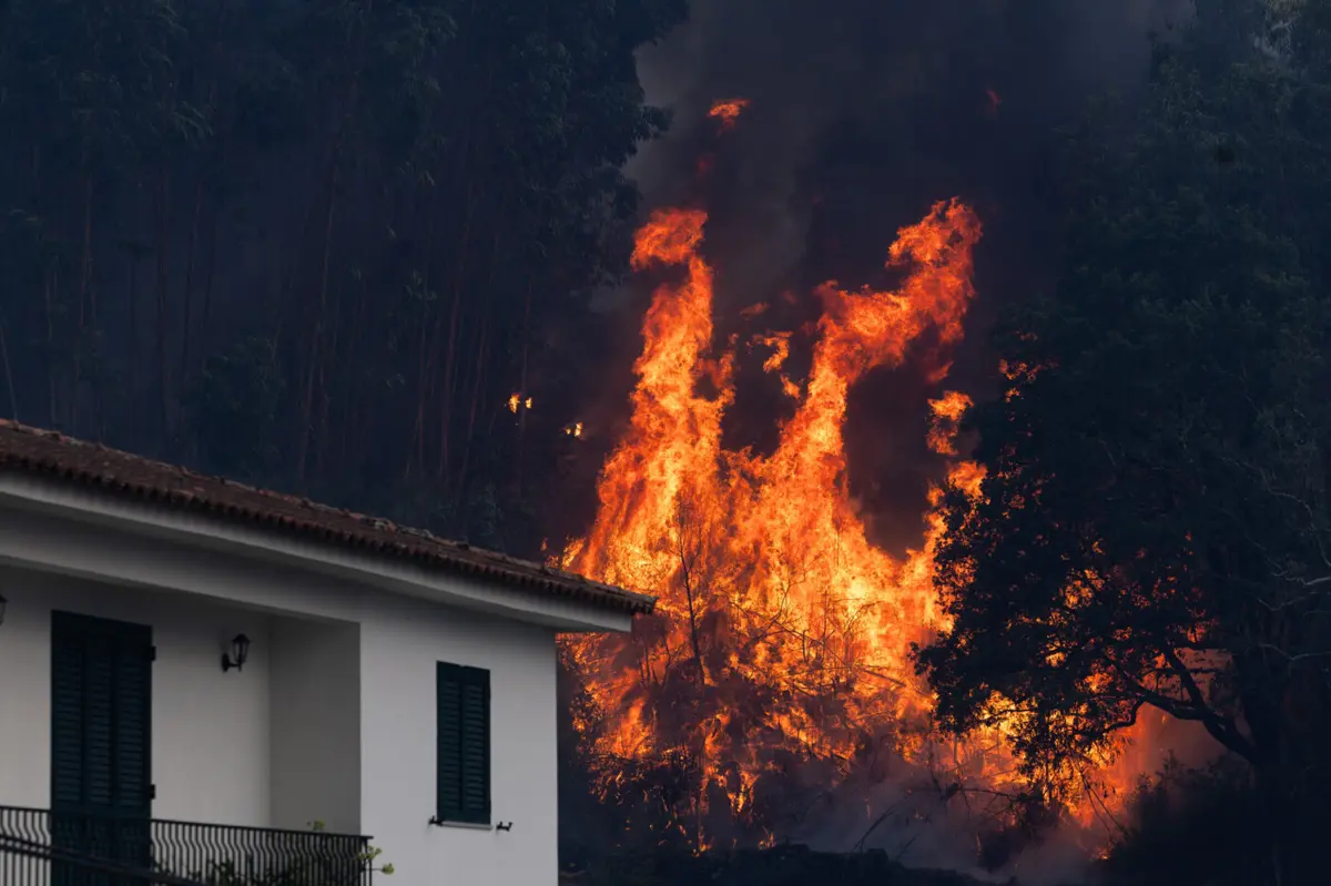 Créditos: Pedro Correia