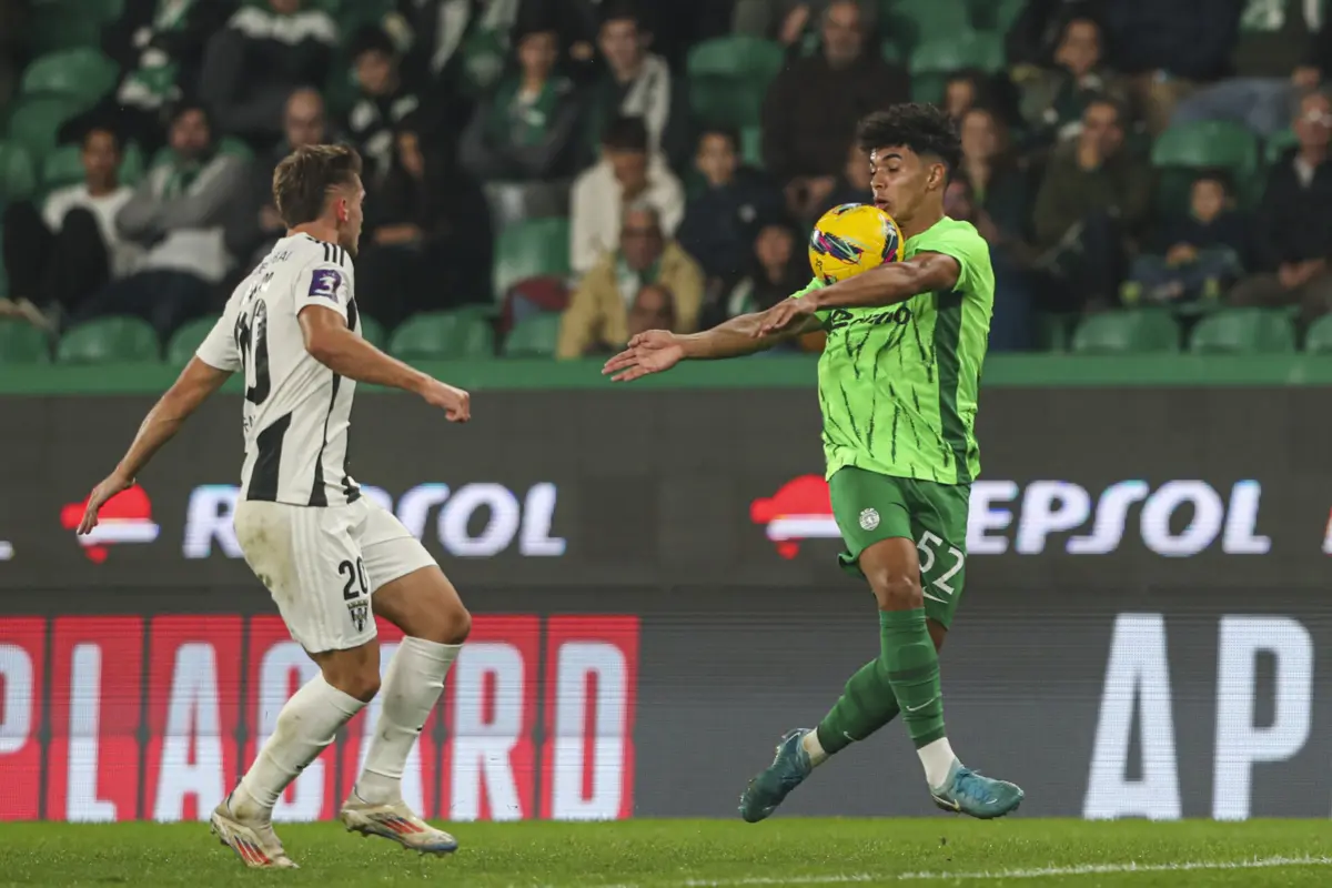 João Simões (Créditos: Pedro Rocha)