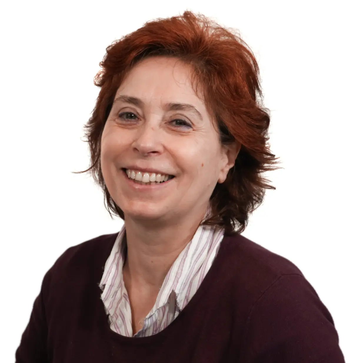 Imagem de contexto do artigo O espírito das bandeiras