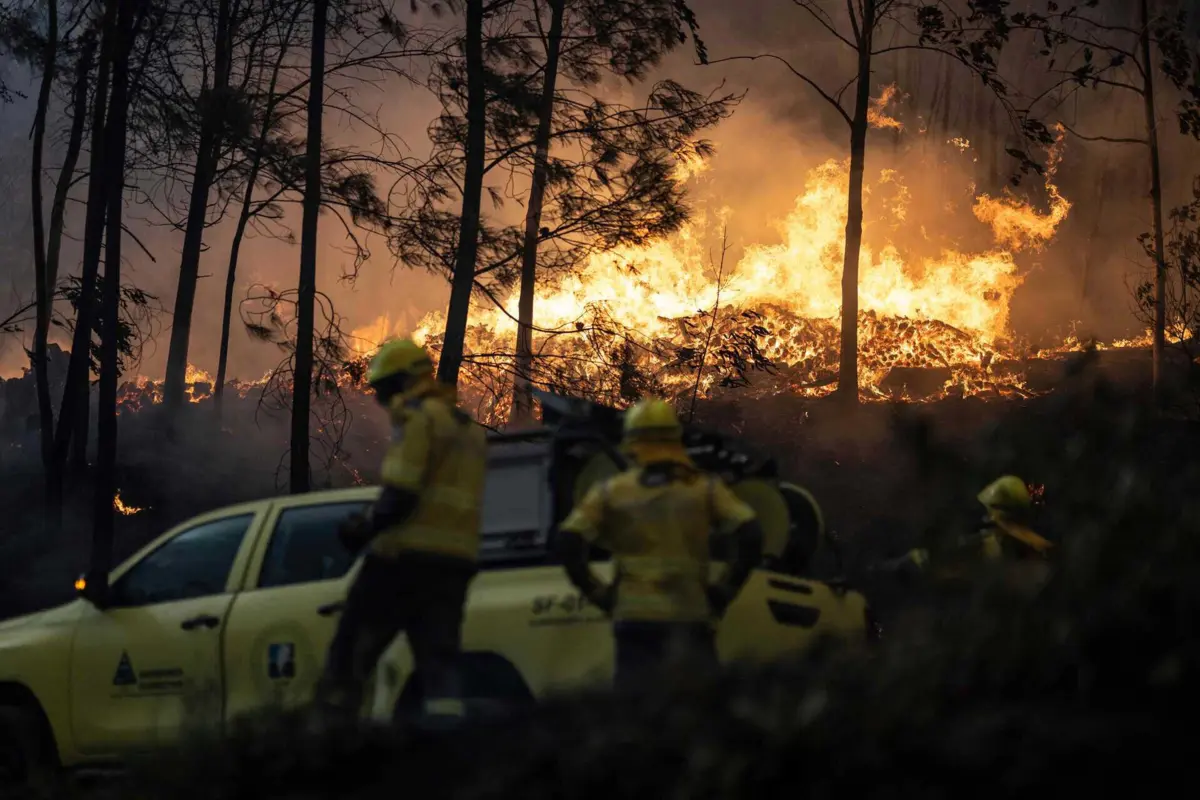 Imagem de contexto do artigo Incêndios em Portugal: "Devido ao fumo intenso e espesso é muito difícil operar com os meios aéreos"