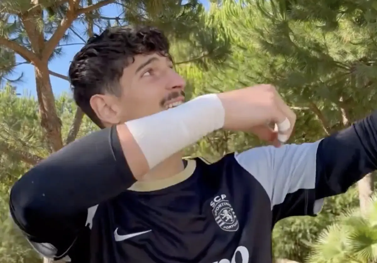 Imagem de contexto do artigo Alcaraz ou Djokovic, quem vence em Wimbledon? As respostas dos jogadores do Sporting