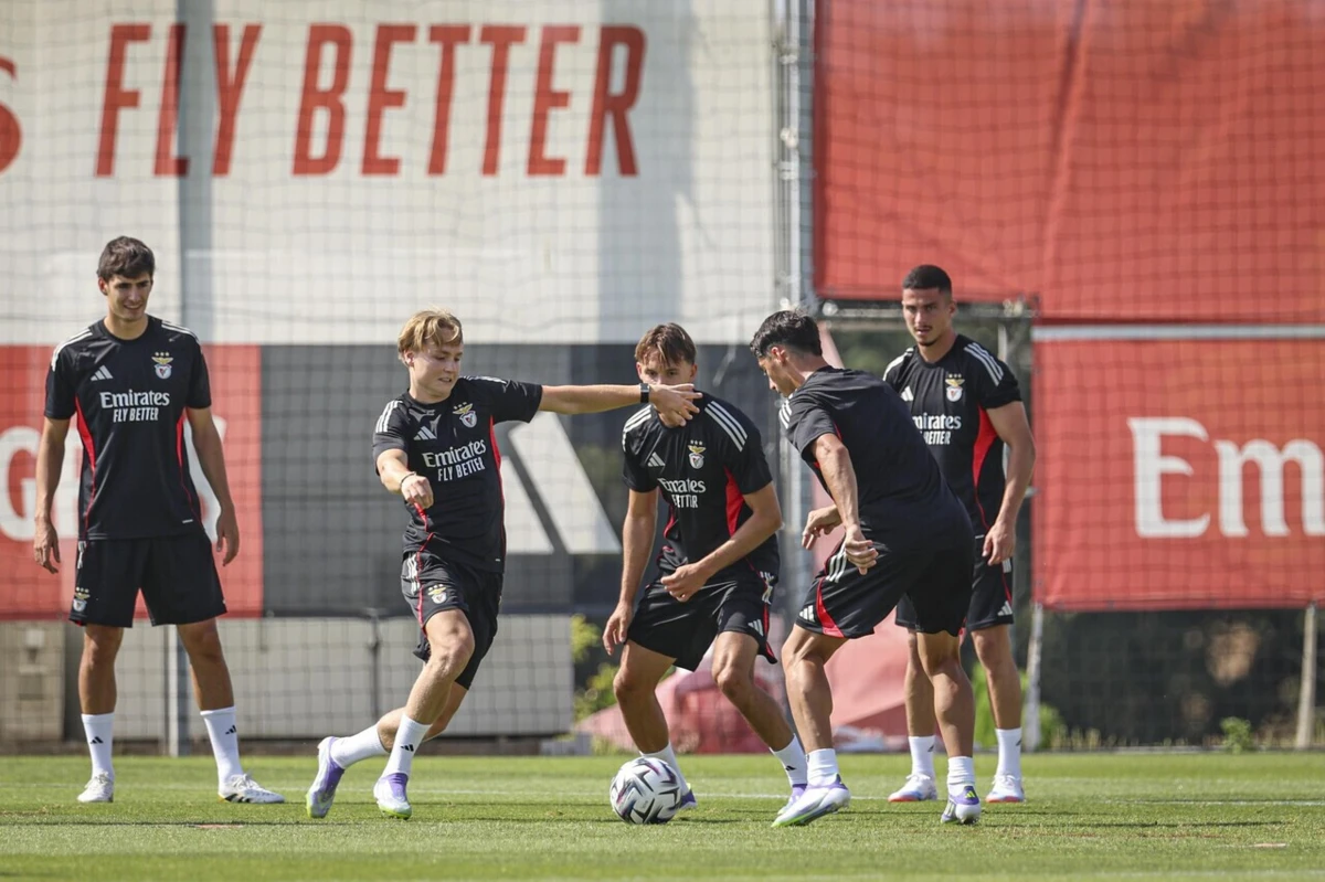 Imagem de contexto do artigo "Estou muito feliz no Benfica", garante Schjelderup
