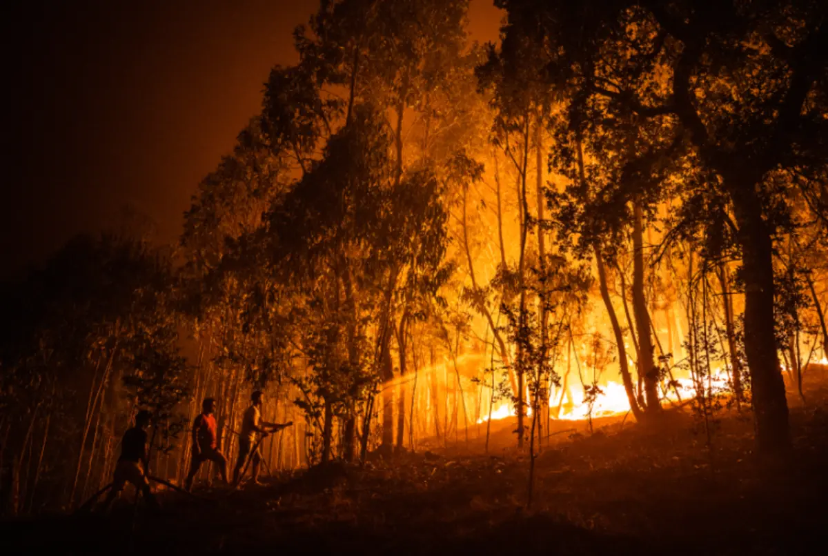Imagem de contexto do artigo Incêndios: foram detidas 36 pessoas em flagrante delito este ano