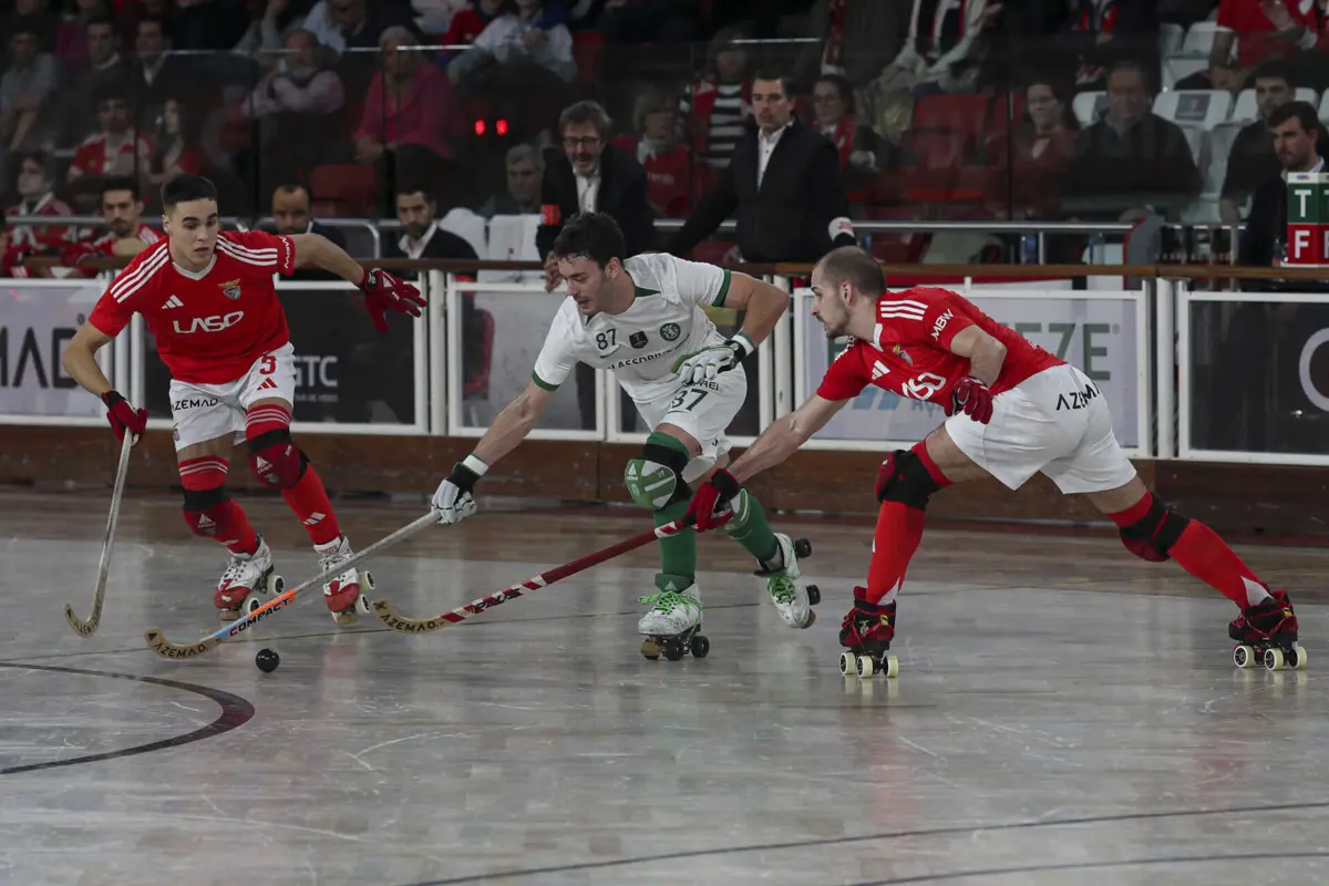 Créditos: Pedro Rocha