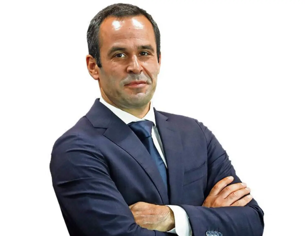 Imagem de contexto do artigo Quadros competitivos: a floresta e a árvore