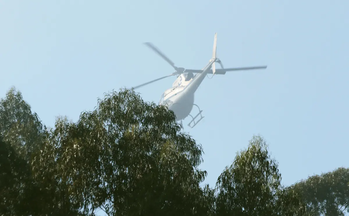 Créditos: Amin Chaar