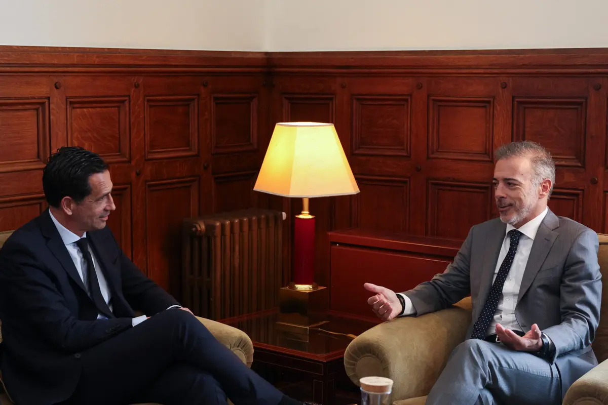 Pedro Proença e Pedro Duarte (créditos: LUSA)