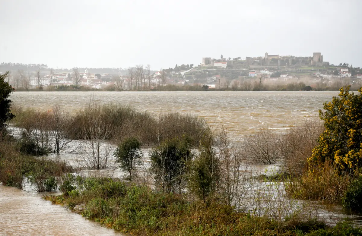 Níveis do rio Mondego preocupam