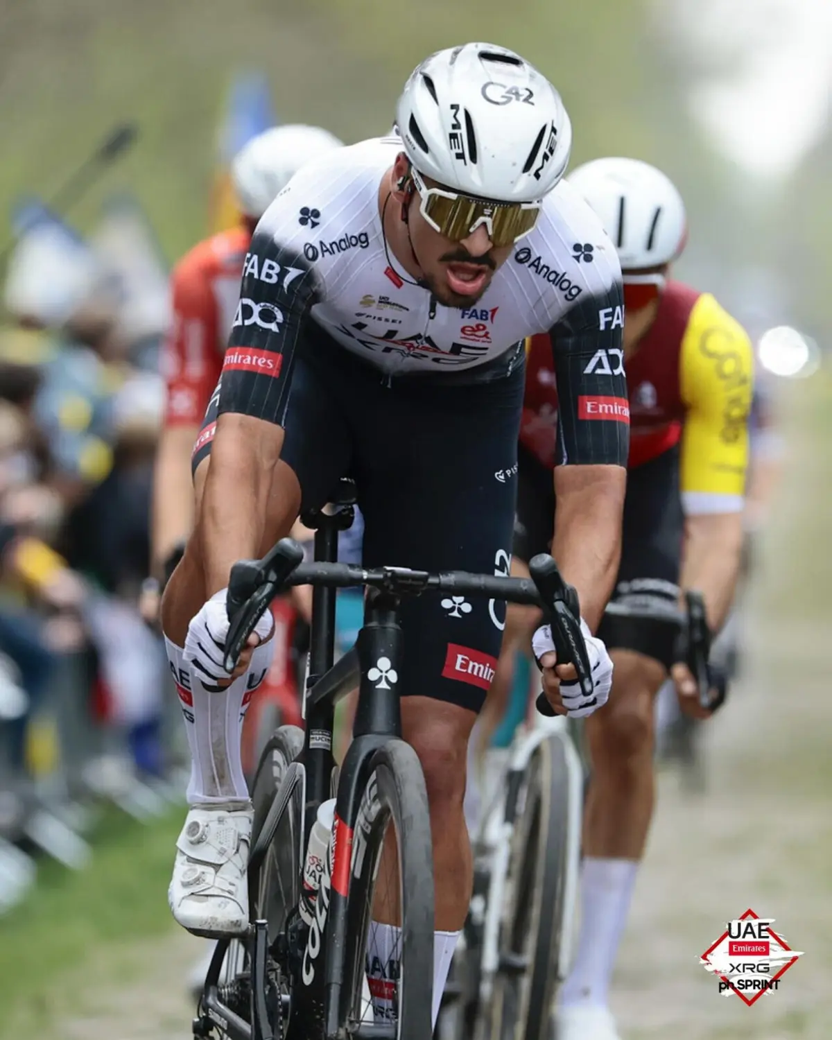 Imagem de contexto do artigo António Morgado é o melhor português de sempre em Roubaix