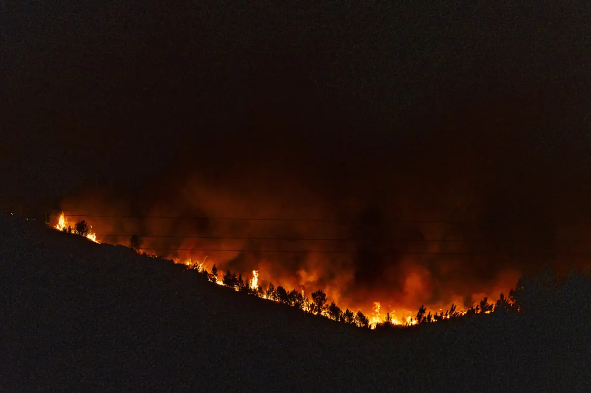 Créditos: Rui Manuel Fonseca