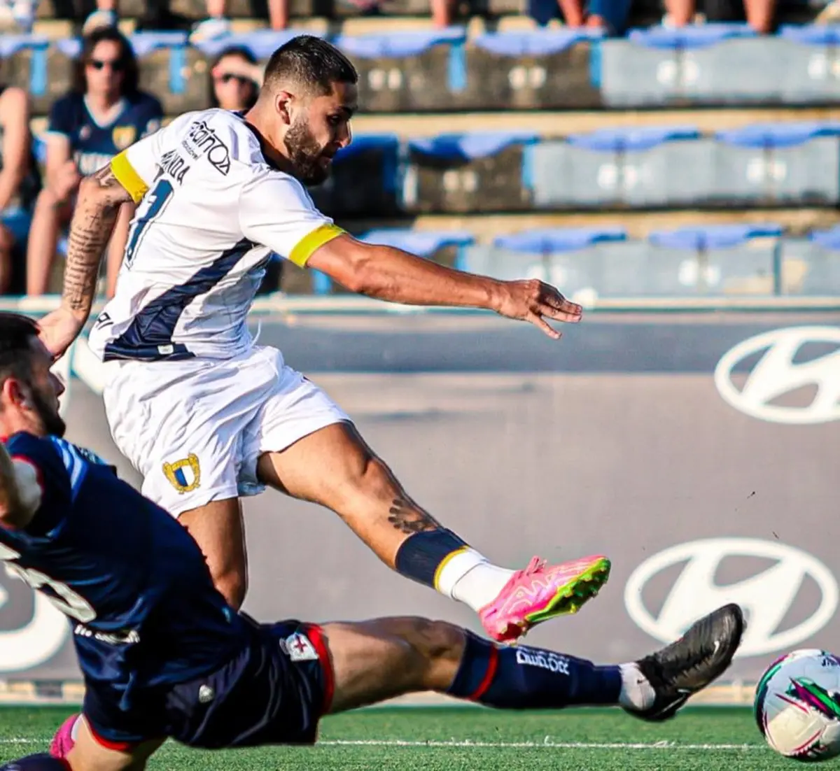 Imagem de contexto do artigo Ataque de abelhas interrompeu Famalicão-Deportivo da Corunha