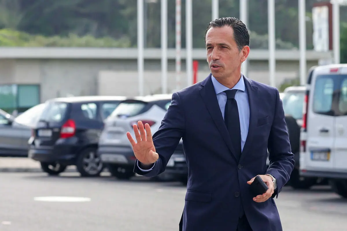 Pedro Proença (créditos: Lusa)