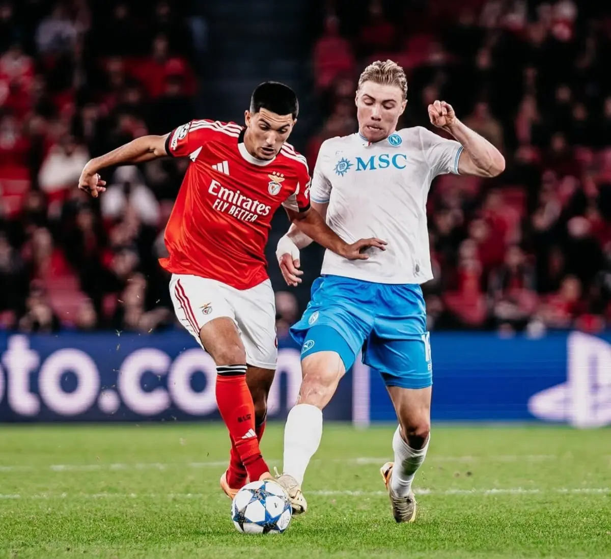 Tiago Freitas e McTominay