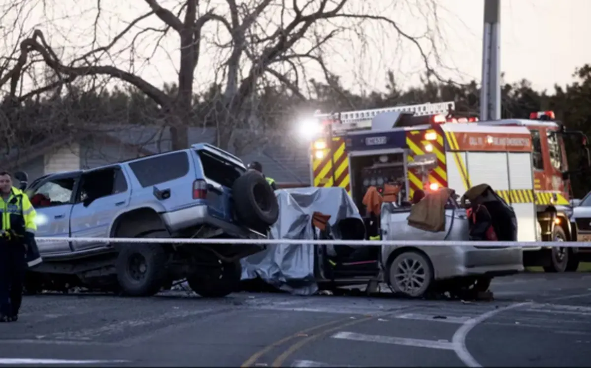 Imagem de contexto do artigo Tragédia na Nova Zelândia deixa três mortos na seleção sul-coreana de esqui alpino