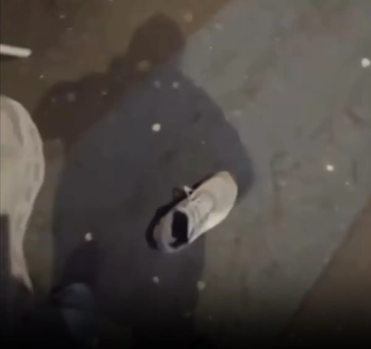 Imagem de contexto do artigo Adeptos do Benfica tiveram de tirar o calçado para entrar no Dragão: veja o vídeo