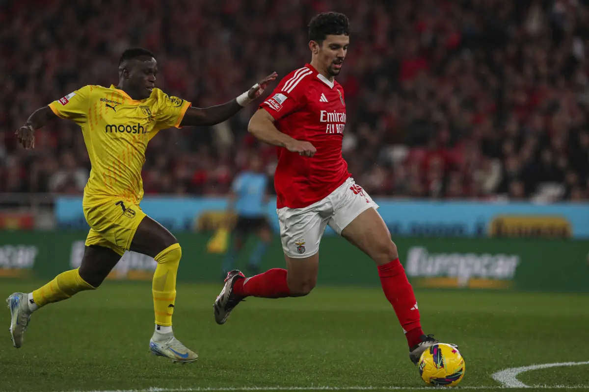 Tomás Araújo (Créditos: Pedro Rocha)