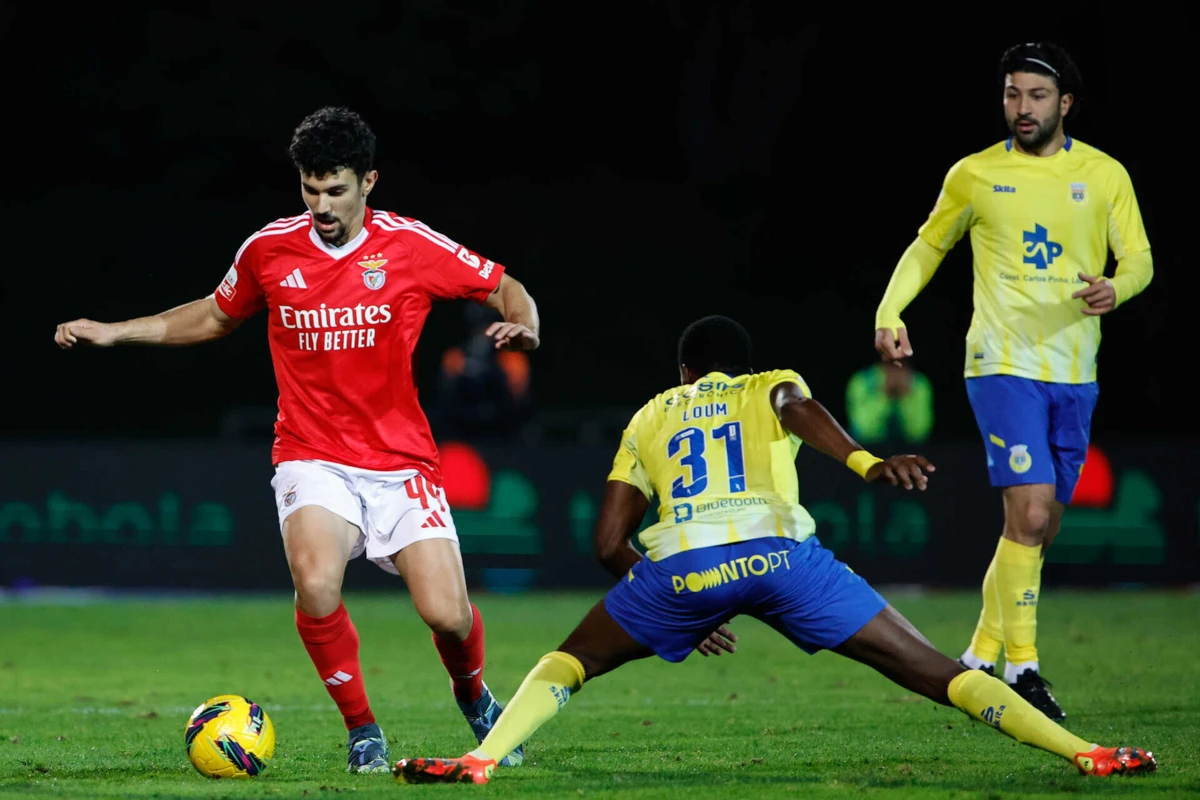 Tomás Araújo (Créditos: Tony Dias)