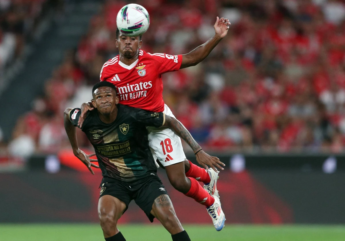 Imagem de contexto do artigo Campanha em jogo contra o Benfica vale multa ao Estrela da Amadora