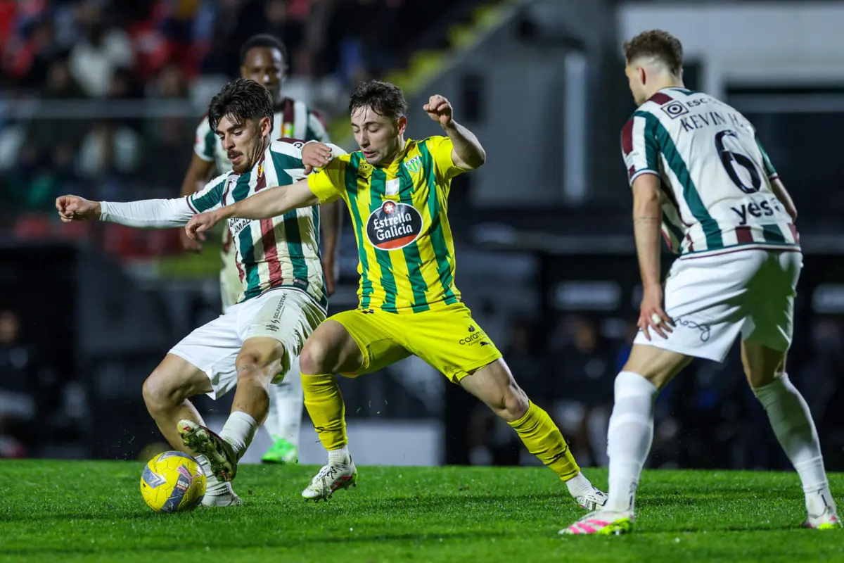 Imagem de contexto do artigo Os golos, mas não só: assista ao resumo do Estrela da Amadora-Tondela